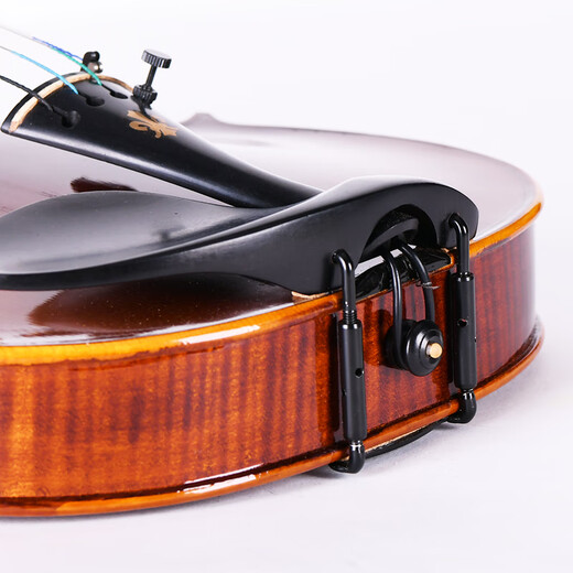 Taishu TV-010 Importé European Handmade Violin Professionnel Pure Enfants faits à la main pour débutants jouant au violon 1/8 Dark Brown adapté à la hauteur 105-120cm