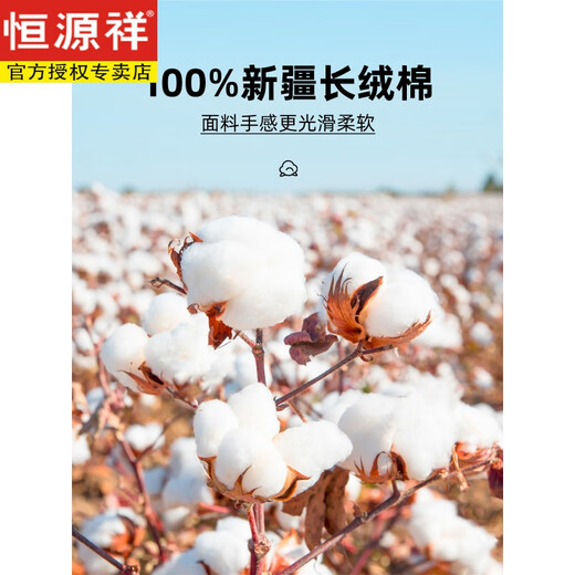 恒源祥200支纯棉免烫长袖白衬衫男新款2025秋季休闲正装西装衬衣男 长6218蓝色平纹(纯棉免烫) 38