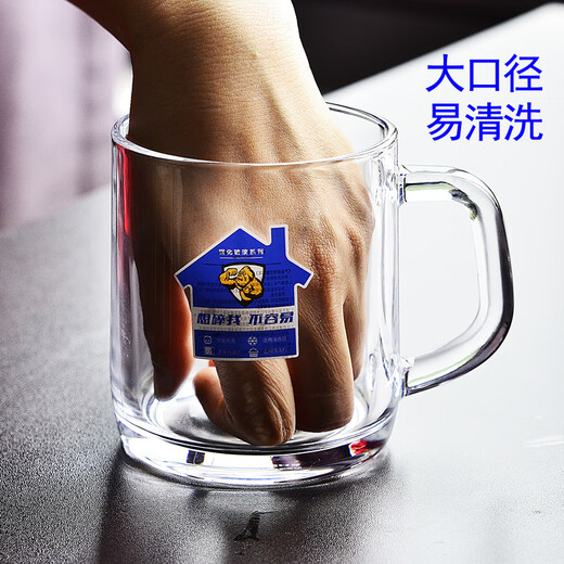 ClceySuperfest Anti-Fall Verre tasse en acier ménage Brewing Brewing Thé à grande capacité Bière Mil de petit déjeuner Masse de petit déjeuner + 365 ml Couvrette en verre 500 ml 2 pièces