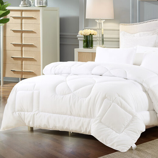Mercury Home Textiles Winter Quilt Contains Seven-hole Antibacterial Breathable Fiber Quilt Double Spring Autumn and Winter Warm Quilt Student Dormitory Quilt Core Alice Antibacterial Seven-hole Winter Quilt 2nd Generation (White) 180x220cm
