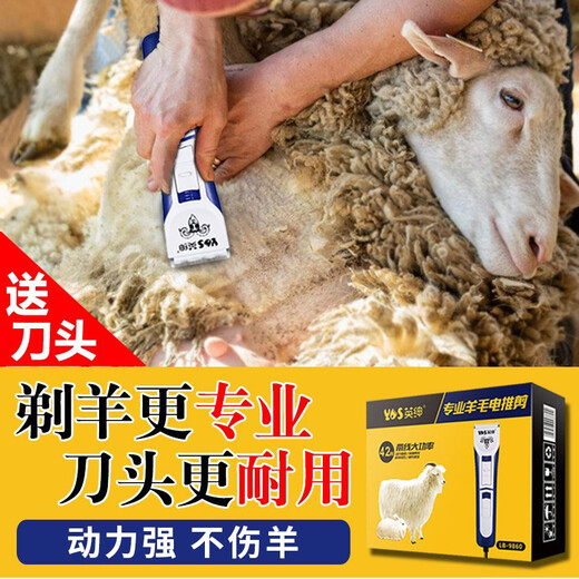 Yingshen wool electric clipper high-power pet electric clipper for shaving wool sheep cashmere goat electric shearing tool universal for all sheep (10 heads in total)