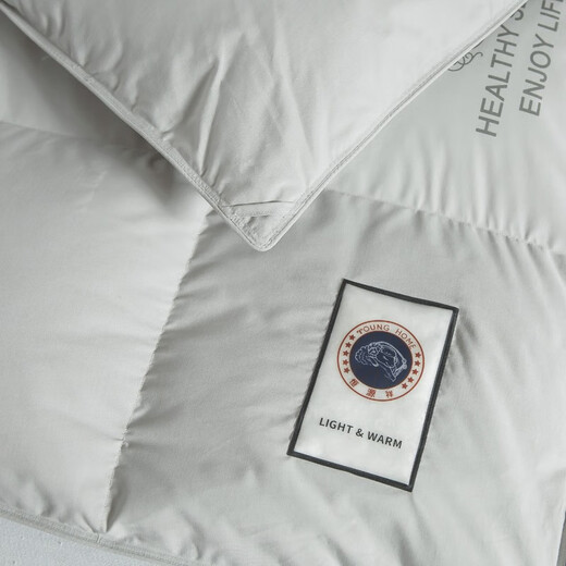 Hengyuanxiang Quilt Core Antibactérien Antibactérien Goie Velvet Couette blanche GOOSE VELVET CHAUD ANTI-DIAMOND VELVET AUTUM
