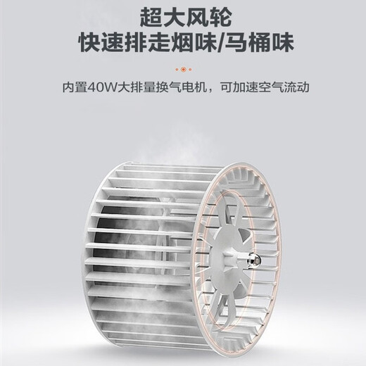 志高（CHIGO）集成吊顶换气扇照明二合一LED灯普通吊顶排气扇厨房卫生间排风扇 30x60照明换气（琴键开关）