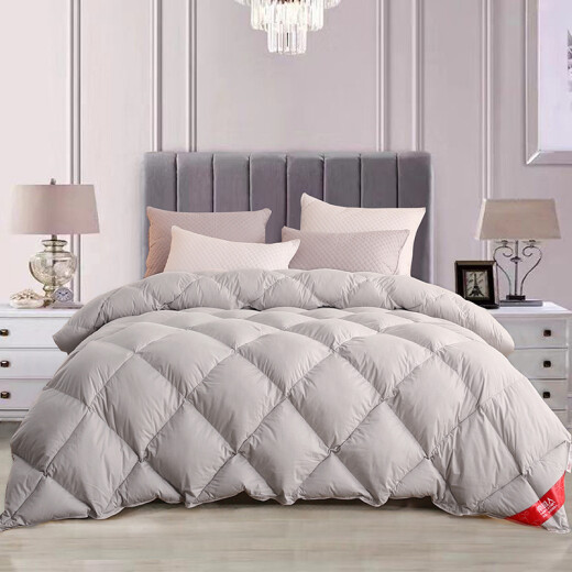 Antarctic cotton 100% feather quilt goose feather quilt double thickened winter bedding quilt core cover about 6 Jin [Jin equals 0.5 kg] 200*230cm