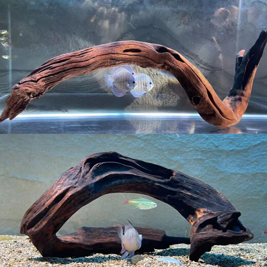 鱼缸造景沉木80-100cm大号大型拱桥型龟台晒台爬宠虾躲避树桩摆件 灰色 14404秒沉