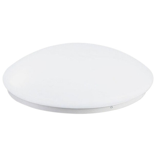 雷雷智光 声控灯LED雷达人体感应灯声光控吸顶灯楼道楼梯走廊工程车库灯 21CM LED6W声光控