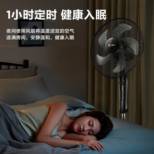 艾美特电风扇落地扇家用六叶风扇立式定时机械大风力风扇 3523
