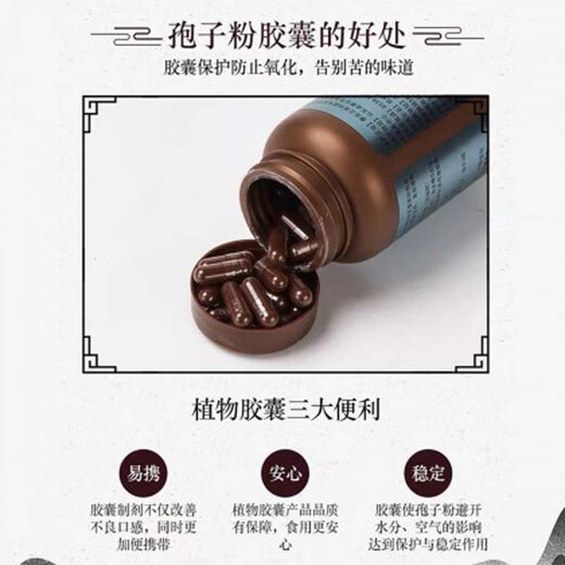 修正破壁灵芝孢子粉胶囊90粒\/瓶 增强免疫力软胶囊 1瓶装【60粒】