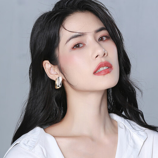 Qlady niche unique earrings for women 2025 new temperament high-end earrings for women silver needle light luxury earrings birthday gift