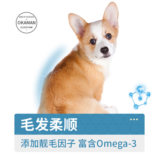 Okaman Corgi special dog food, general-purpose natural food for adults and puppies, Corgi 40 Jin Jin equal to 0.5 kg, Corgi adult dog special food 40 Jin, Jin equal to 0.5 kg.