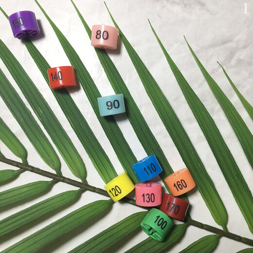 Xizan plastic size ring round four-tooth digital size mark hanger buckle color size buckle dark red 170 official standard