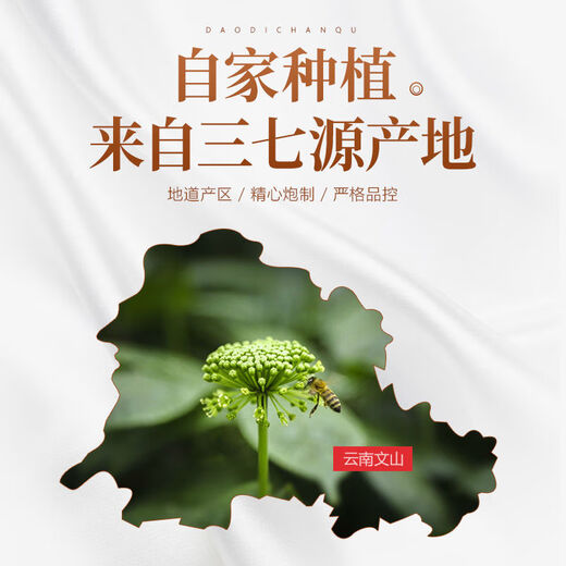 北京同仁堂三七花云南文山特级野生四年生田七花养生茶 精选四年新花250克