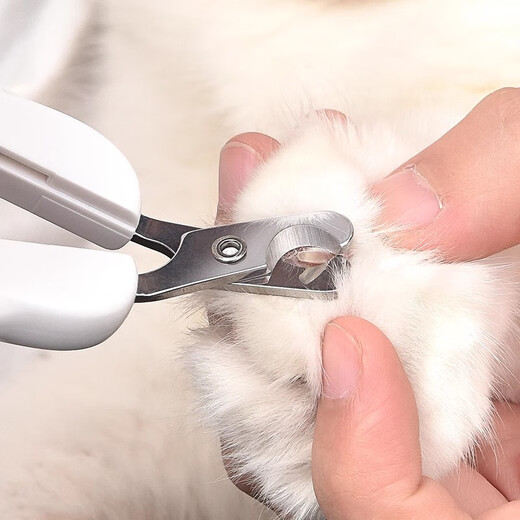 PAKOWEI (TOM CAT) Cat Nail Clippers, Special for Beginners, Dog Nail Clipper, Anti-Scratch Cat Nail Clipper, Magical Pet Supplies, PAKOWEI-Jianpai Small Q Scissors (Straight Head Gray)