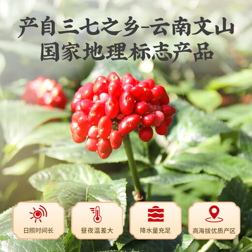 雷允上云南文山三七粉3g*10袋 药典标准中药饮片级 用于散瘀止血 消肿定痛 外伤出血 跌扑肿痛独立包装易携带