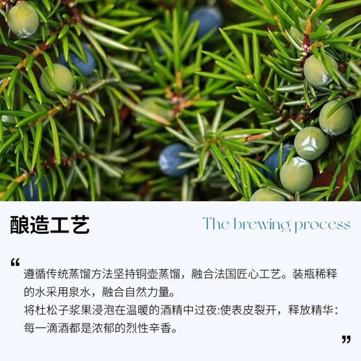 泾萍法国哈敦哈顿金牌金酒1000ml杜松子酒原装进口洋酒酒吧基酒GIN1l 哈顿1000ML 1L 1瓶