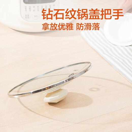 苏泊尔（SUPOR）电炖锅家用智能电炖盅电砂锅煲汤锅炖汤锅3升容量煲煮粥锅婴儿辅食锅燕窝3-4人用煮粥神器多功能 3L 【3L白瓷内胆】DG30YC826