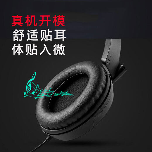 承策 适用EDIFIER漫步者H850 H840 H841p耳罩头戴式耳机套椭圆包耳式舒适隔音耳机罩耳机替换升级配件 【H840 H841p】黑色蛋白皮耳套一对