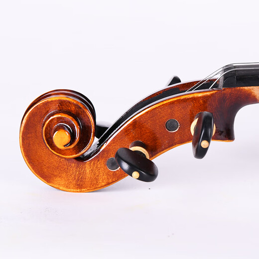 Taishu TV-010 Importé European Handmade Violin Professionnel Pure Enfants faits à la main pour débutants jouant au violon 1/8 Dark Brown adapté à la hauteur 105-120cm