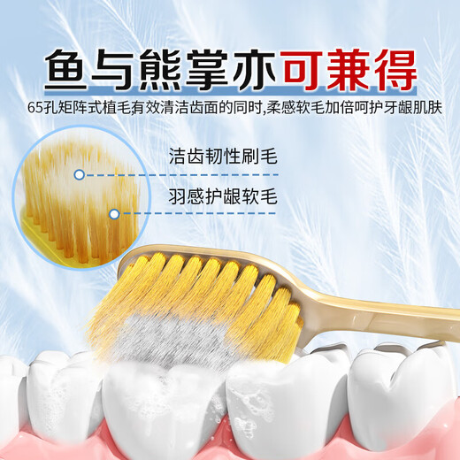CCOKIO Japanese wide-head 65-bundle soft-bristled toothbrush for adults, men and women, genuine large brush head, home decoration set