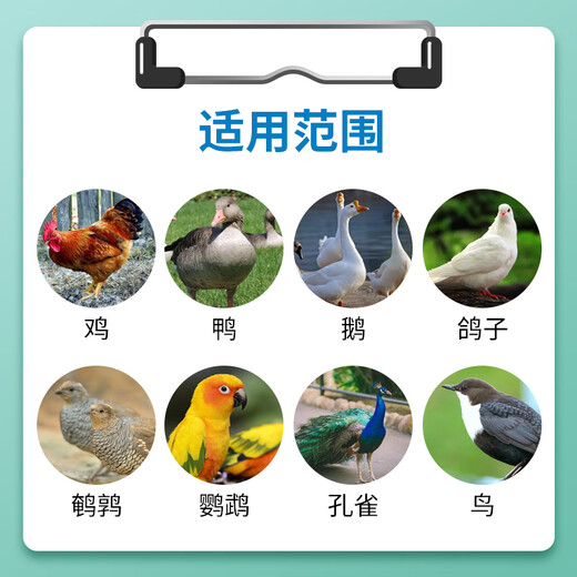 Changmu Danduoduo veterinary egg-producing polypeptide egg-laying spirit stimulates laying hens, ducks and goose premix feed additives egg-laying treasure Danduoduo 1kg*10 bags