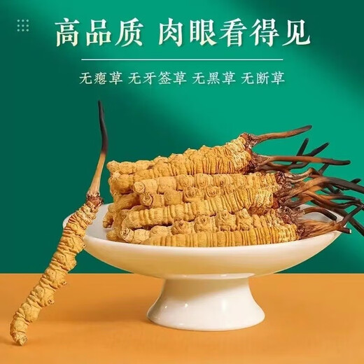 
Luzhangtang Authentic Cordyceps sinensis fine Cordyceps broken grass authentic big cordyceps dry goods buy 10 pieces free 1 piece bulk authentic Tibet Nagqu whole meat strips 1 gram (1 gram pack)