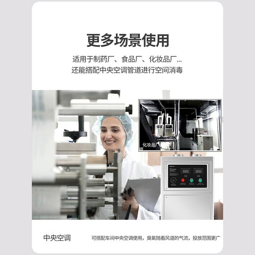 Feili duct type ozone generator central air conditioning fully automatic control ozone disinfection machine equipment food factory industrial clean workshop sterilization and deodorization 8120F 120g ozone 1200