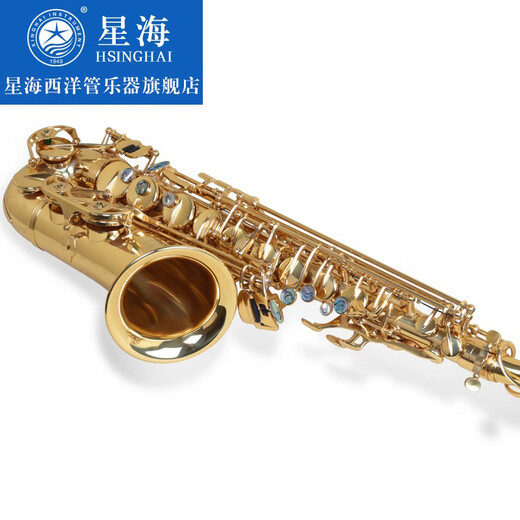 星海（XINGHAI INSTRUMENT）【大咖推荐】专业演奏中音萨克斯 降e调XAS-180 成人儿童初学考级 XAS-180【配件齐全】收到即用