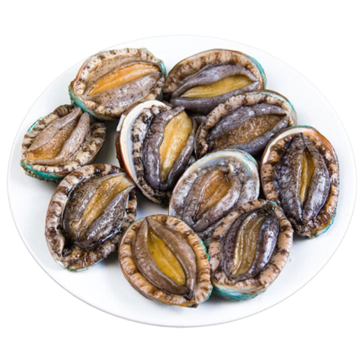 Twisted Abalone 1 fresh small abalone (22-28 heads/500g)