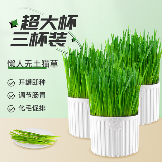 Huanpet.com cat grass potted seed set, lazy canned hydroponic soil culture, cat snacks, cat hair balls, catnip