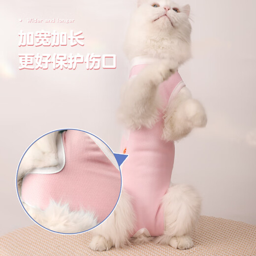 Hanhan Paradise cat sterilization suit, surgical suit for female cat, breathable weaning suit, anti-licking suit for male cat, recovery suit after surgery, MM number recommended 4-6 Jin [Jin equals 0.5 kg]