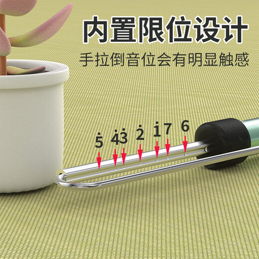 DBAO溜溜笛子乐器滑动笛哨笛吹气笛海绵宝宝章鱼哥老六拉管笛 黑色
