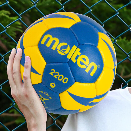 Molten Handball No. 0 Children's Kindergarten Special Mini Set PU H0X2200-BY