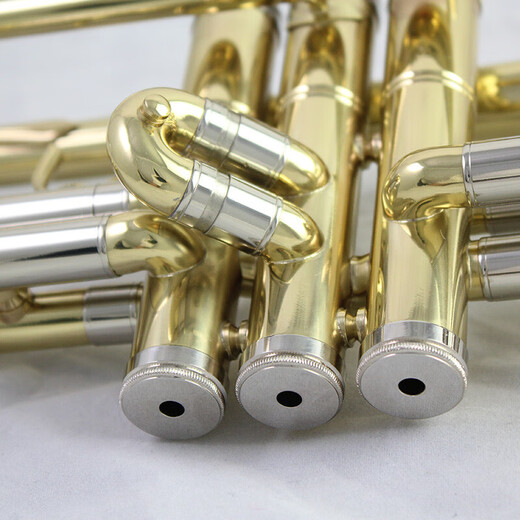 Xinghai trompeta pequeña b-flat tortuga de trompeta general instrumento musical XT-120