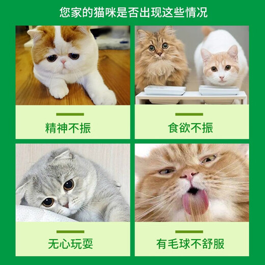 Habao Habai catnip powder, pure mint leaves, cat snacks, helps eliminate hair balls, cleans the mouth, decompresses cat grass, 1 bottle, about 20g/bottle