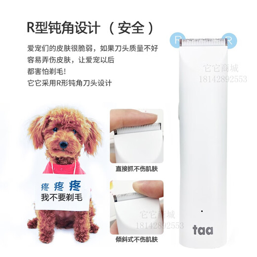 TAA Taiwan It It professional electric clipper pet M1 dog shaver electric clipper cat Teddy razor electric clipper M1 white body + 9 blades 6 hours of battery life