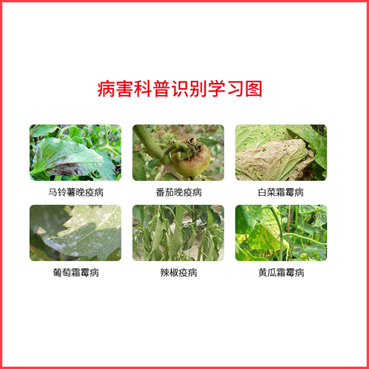 Pesticide 80% dimethomorph downy mildew early and late blight Pythium black shank fungicide special medicine for grape and cucumber downy mildew pepper tomato late blight 20g*50 bags