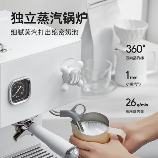 Petrus Coffee Machine Dual-Kessel Dual Water Pump Haushalt Retro Full Semi-Automatische italienische kleine All-in-One
