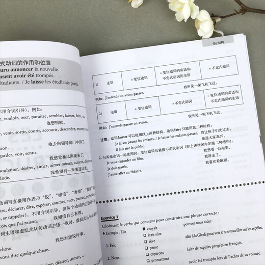外研社 法语语法点点通 初级+中级+ 全3本 POINT PAR POINT 法语语法书 法语自学入门教材学习法语书籍 外语教学与研究出版社