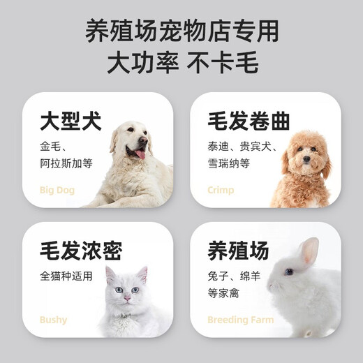 Pet clipper, professional shaver, high-power electric hair clipper for dog hair clippers, dog hair clipper for large dogs, pet shop special, silver, high-power, no hair jam