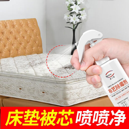 BISELOAE Fabric Mildew Remover 270ml Baby Stroller White Clothes Shoes Black Mildew Spot Cleaning Fabric Sofa Curtains