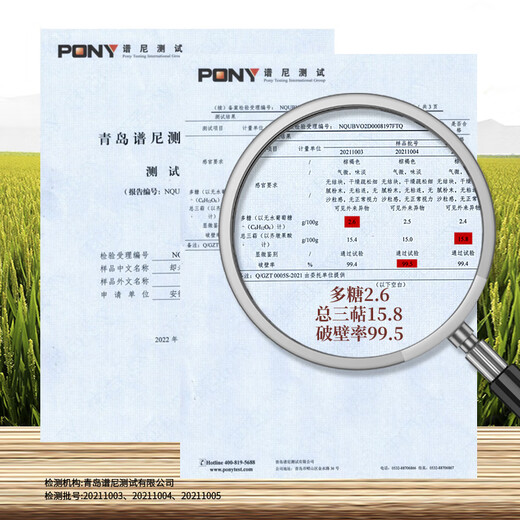却老斋牌 有机破壁灵芝孢子粉 高三萜12g中老年营养保健品增强免疫力 孢子粉100g*6盒【300天量】