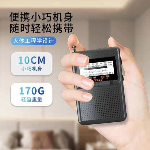 Newman BT80-Radio für ältere Menschen zum Hören von Musik mit Vollband-Englisch-Stufen 4 und 6, Plug-in-Kartenspieler, wiederaufladbarer FM-Walkman-Minilautsprecher