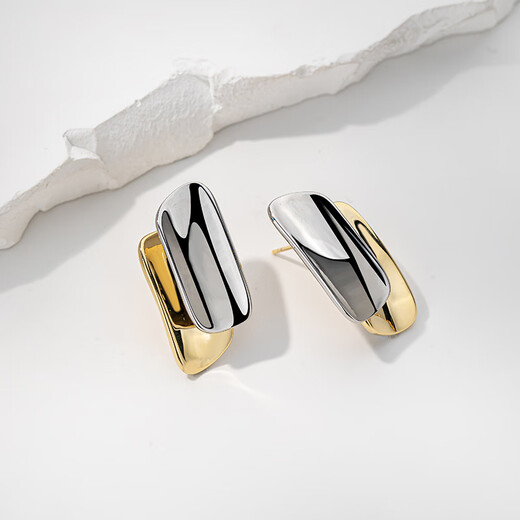 Qlady niche unique earrings for women 2025 new temperament high-end earrings for women silver needle light luxury earrings birthday gift