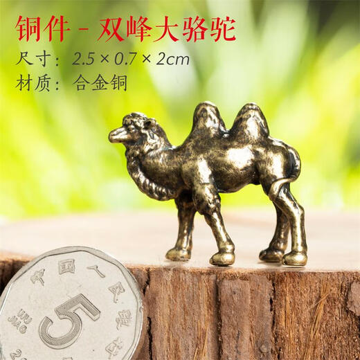 Shiguang Xiaozhan Shangshui Stone Water Absorbent Stone Bonsai Rockery Stone Landscaping Stone Ornament Copper Products Crafts Mini Pony Exquisite Ornaments Copper Parts-Bactrian Camel