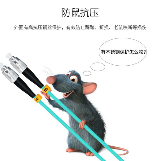 EB-LINK 电信级LC-LC铠装OM3万兆多模双芯10G光纤跳线OM4双工尾纤防鼠咬抗拉抗压 铠装万兆多模双芯OM3 10米