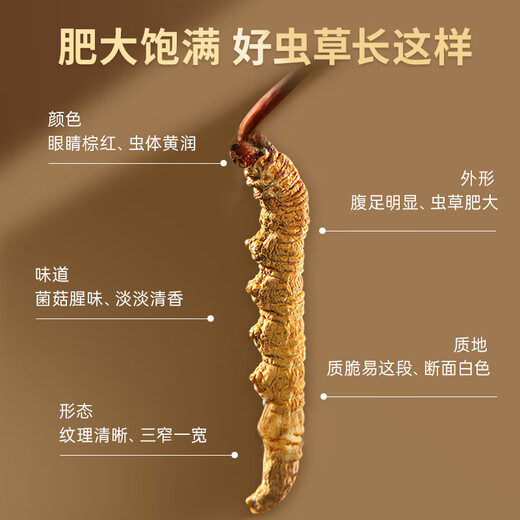Lei Yun Shang Cordyceps Sinensis 3.2 Roots/G 30G Около 96 корней подарочную коробку на День отца, чтобы отправить подарки родителям и старейшин