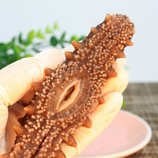 Shangyuewan ready-to-eat sea cucumber 1 Jin Jin is equal to 0.5 kg. Dalian sea cucumber and Liao cucumber open bag ready-to-eat sea cucumber. Net weight 500g. 1 Jin Jin is equal to 0.5 kg. 9-12 heads/Jin Jin is equal to 0.5 kg.