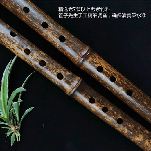 管子先生手作老紫竹演奏级洞箫琴箫精品一节紫竹萧古风8孔正反手大漆素箫 一节八孔E调正手