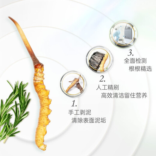 
Shengdikang Tibet 2025 Wild First Fresh Cordyceps Cordyceps Tonic Gift [SF Air Freight] 1.0g/root 10 packs