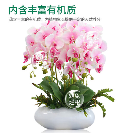 Green family sphagnum moss butterfly orchid special soil moss bodhi nutritious soil plant turtle mat material dendrobium candid planting 12L